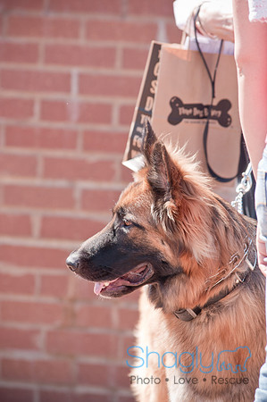 Shagly Photography-Easter Begg Hunt-3