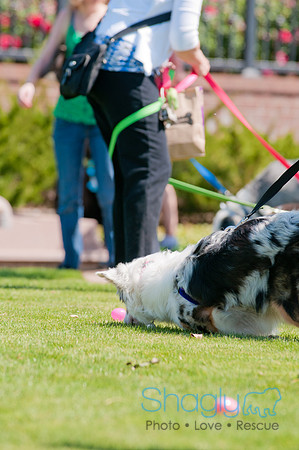 Shagly Photography-Easter Begg Hunt-70