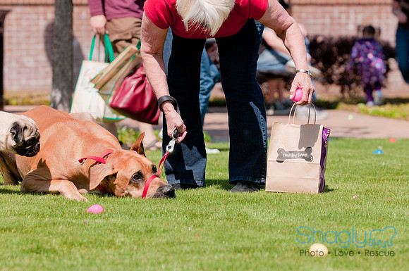 Shagly Photography-Easter Begg Hunt-57