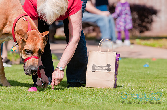 Shagly Photography-Easter Begg Hunt-56