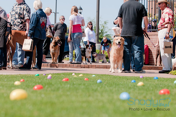 Shagly Photography-Easter Begg Hunt-10