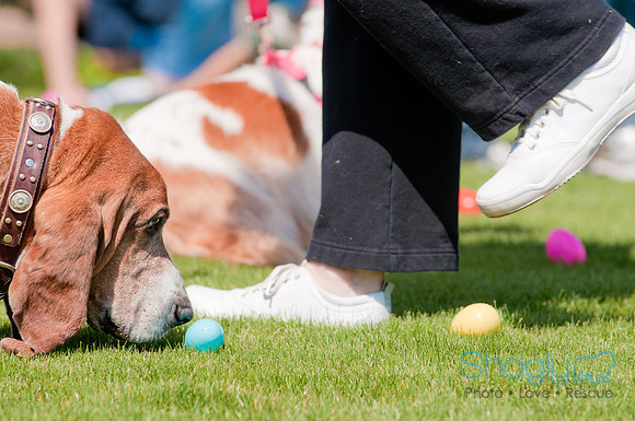 Shagly Photography-Easter Begg Hunt-43