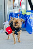 Three Dog Bakery HowlOween-3