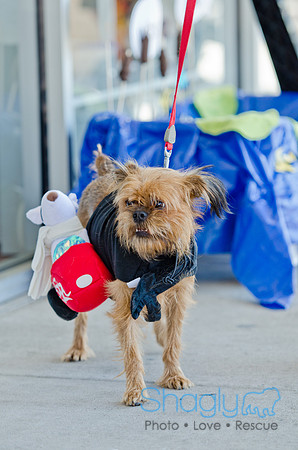 Three Dog Bakery HowlOween-3