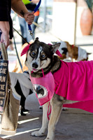 Three Dog Bakery HowlOween-17