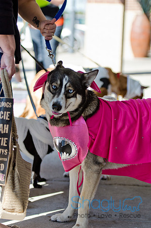 Three Dog Bakery HowlOween-17