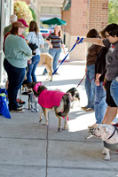 Three Dog Bakery HowlOween-19
