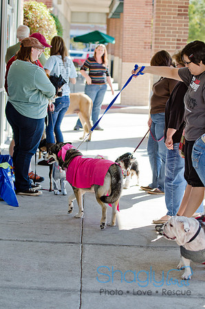 Three Dog Bakery HowlOween-19