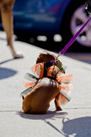 Three Dog Bakery HowlOween-7