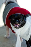Three Dog Bakery HowlOween-2