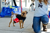 Three Dog Bakery HowlOween-4