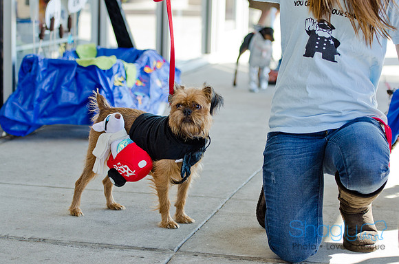 Three Dog Bakery HowlOween-4