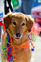 Three Dog Bakery HowlOween-1