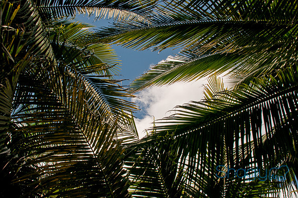 Cancun