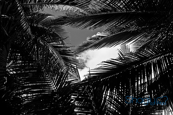 Cancun-2
