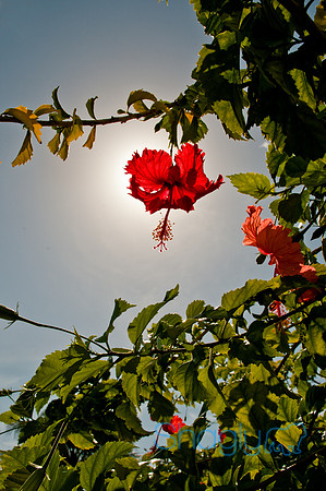 Cancun-4