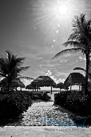 Cancun-9