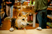 Mutt Mixer-6