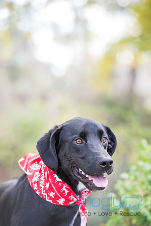Jethro