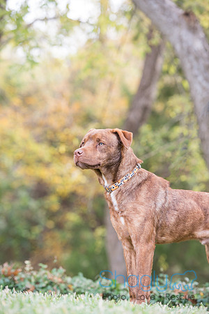 Oakley