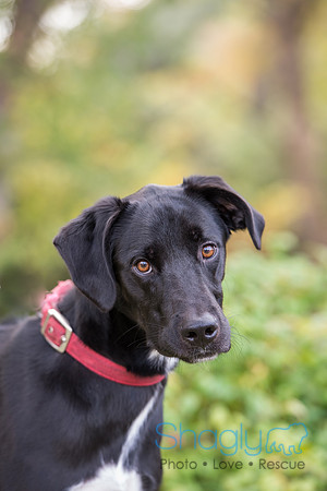 Jethro