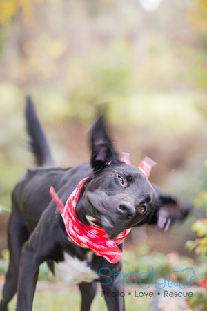 Jethro