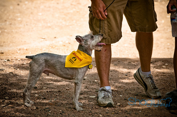 Operation Kindness Anniversary-10