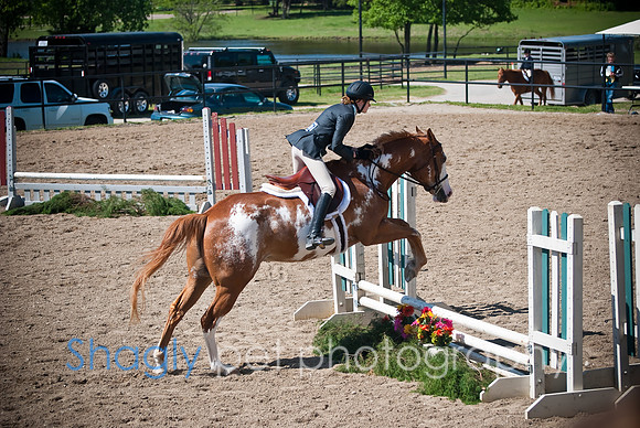 WhiteHorse Farms-0088