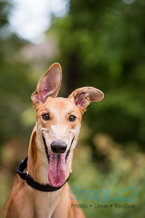 Rusty