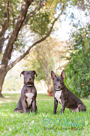 Nick and Nora