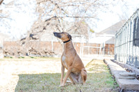 Marcie