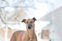 Marcie
