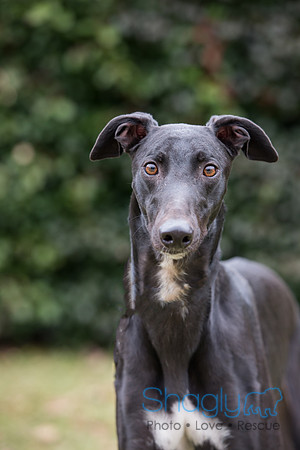 Rafiki