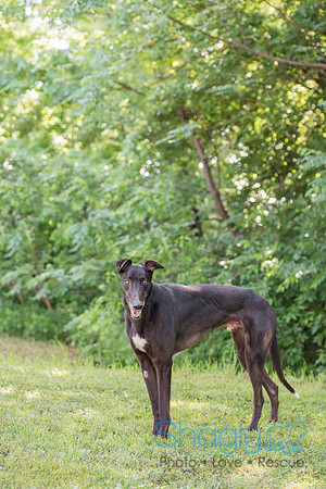 Blackie
