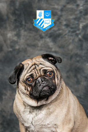 Finnegan Jones