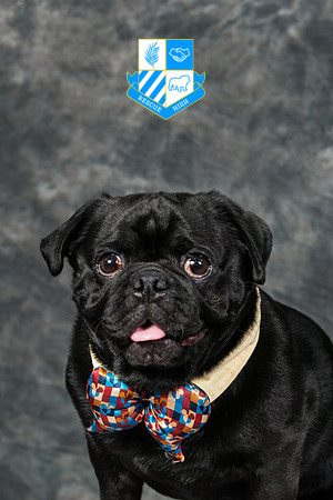 DC Foster