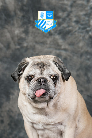 Deacon Jones