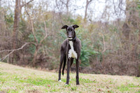 Georgia