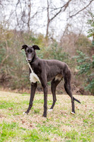 Georgia