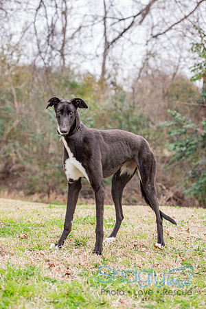 Georgia