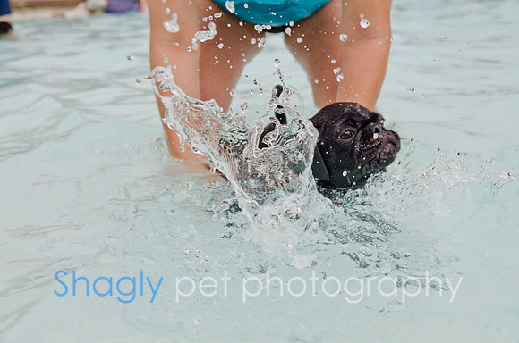Wags and Waves 2011-209