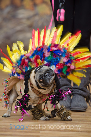 PugOween-60