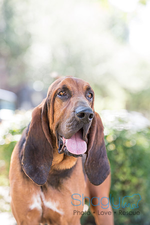 Duke