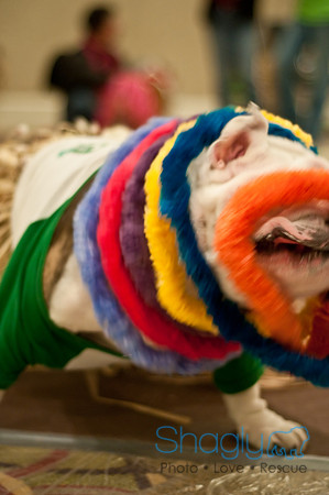 Bully Bash Luau-75