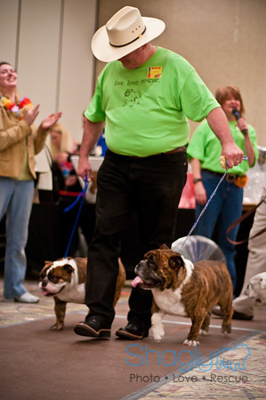 Bully Bash Luau-83