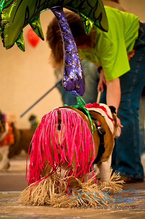 Bully Bash Luau-48