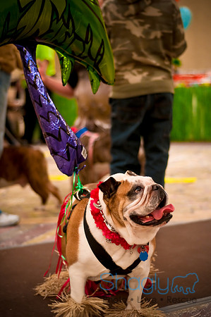 Bully Bash Luau-39