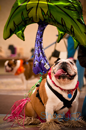 Bully Bash Luau-46