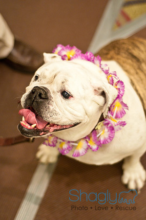 Bully Bash Luau-5