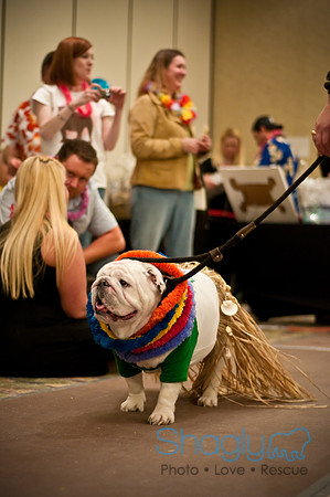 Bully Bash Luau-87